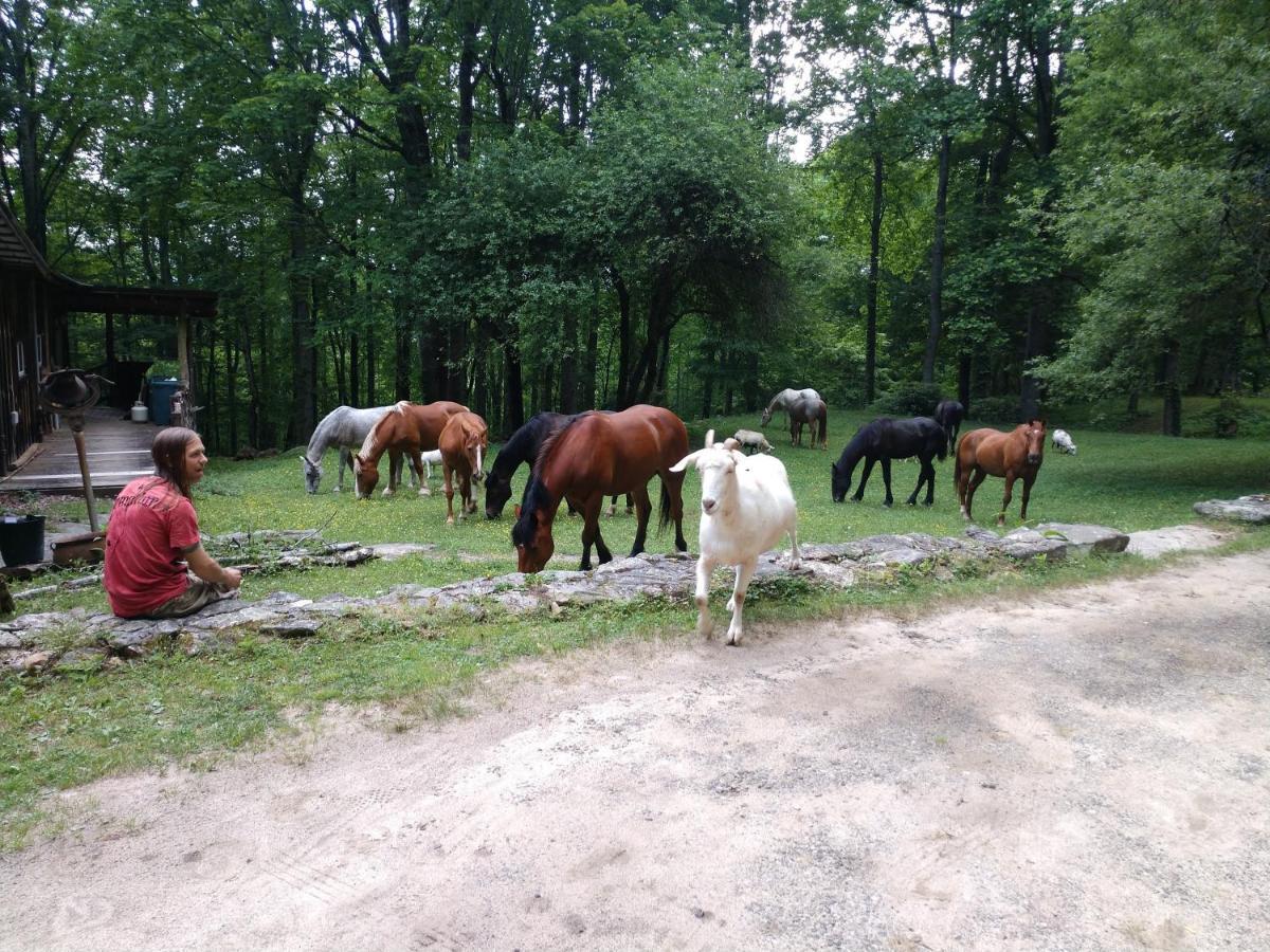 Arrowmont Stables & Cabins Cullowhee Zewnętrze zdjęcie