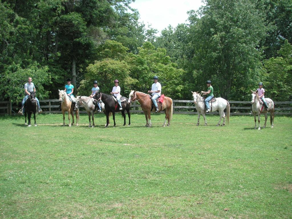 Arrowmont Stables & Cabins Cullowhee Zewnętrze zdjęcie